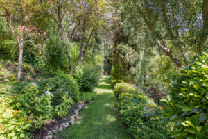finca santa elena 19 (1)