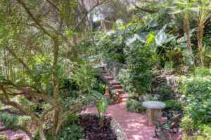 finca santa elena 21 (1)