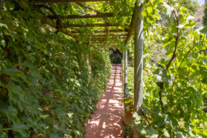 finca santa elena 28 (1)