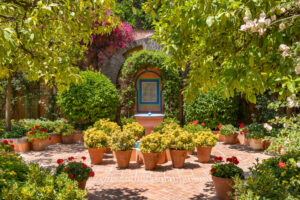 finca santa elena 31 (2)