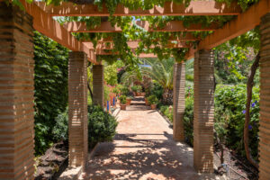 finca santa elena 32 (1)