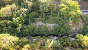 finca santa elena 37 (1)
