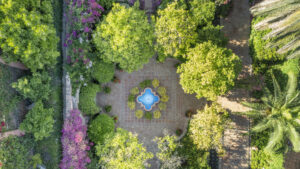 finca santa elena 4